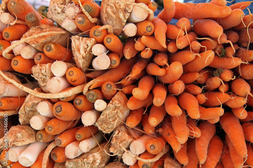 suppengrün und karotten