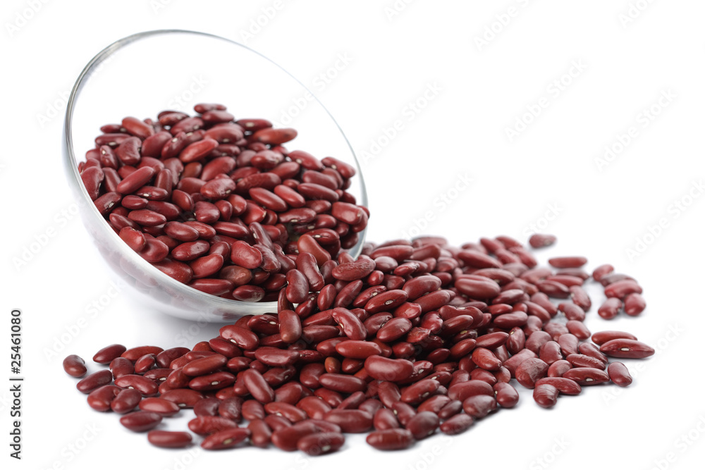 bowl with haricot bean isolated bowl with haricot bean isolated