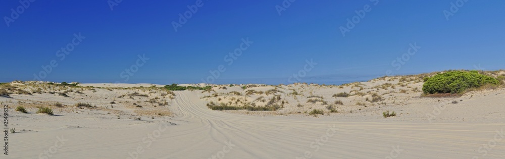Dunas en el Parque Nacional de Doñana,Andalucia,España Dunas en el Parque Nacional de Doñana,Andalucia,España