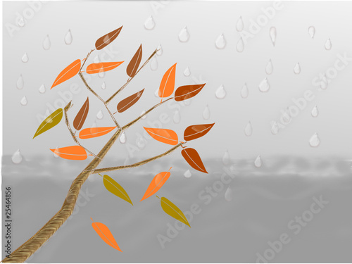 Herbstwetter