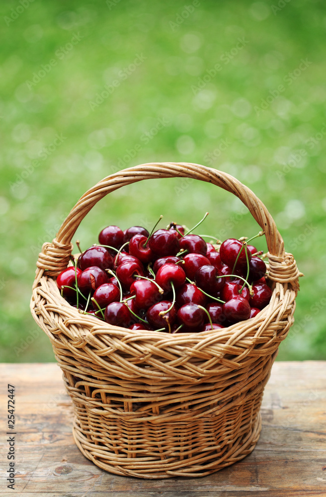 Sweet cherry fruit in a basket