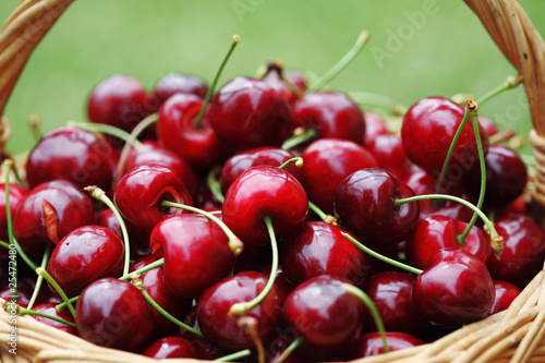Some beautiful sweet cherry fruit in basket