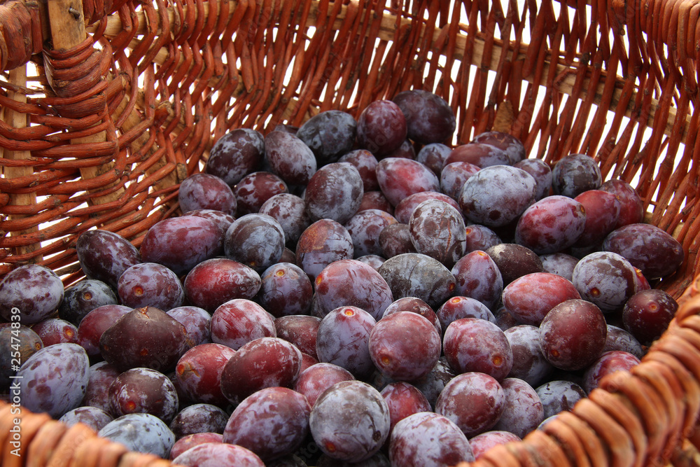 Fototapeta premium Prunes