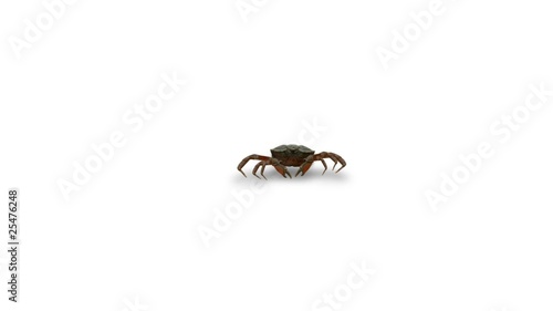 crab animation