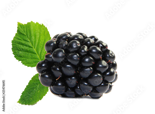 Fresh blackberry isolated on white background