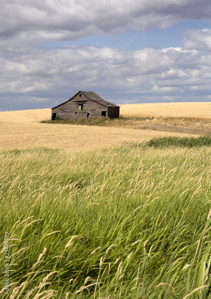 Rustic barn in the farmland. Rustic barn in the farmland.