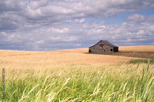 Rustic barn in a farm field.