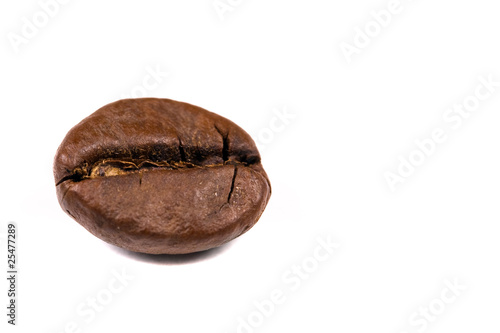 macro shot of a coffee bean, isolated on white