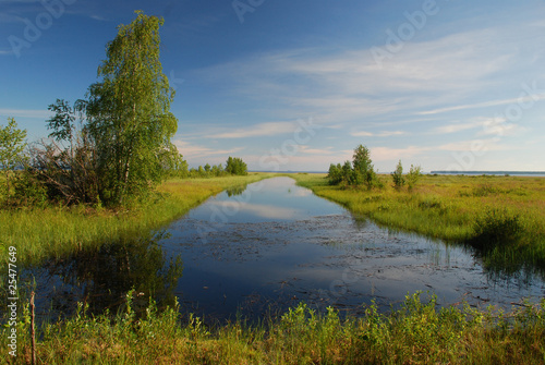 Marshy cost of lake Oulujarvi at Manamansalo island, Finland