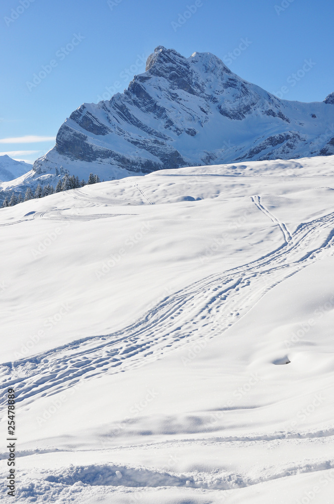 Alpine scenery, Braunwald, Switzerland