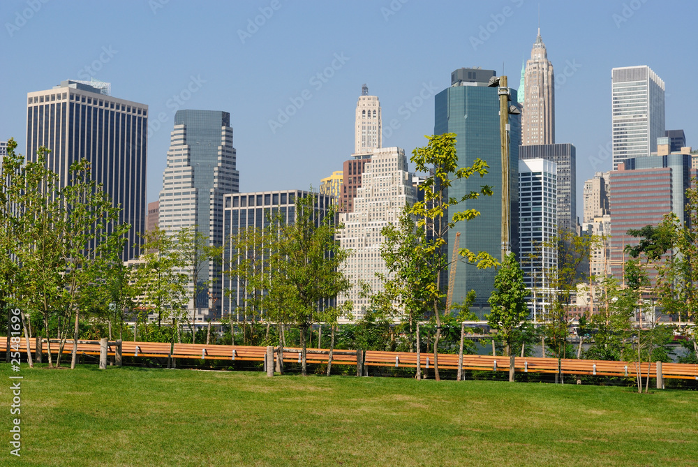 Naklejka premium New York City Skyline from a Park