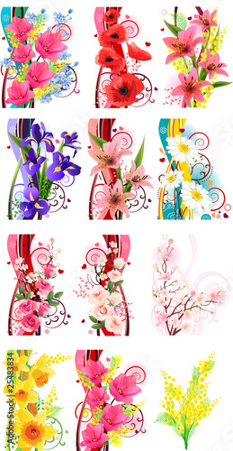 Fototapeta Naklejka Na Ścianę i Meble -  Collection of different beautiful flowers