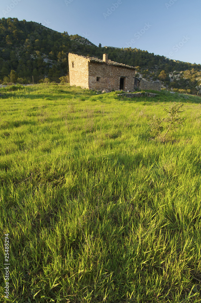 lonely house lonely house