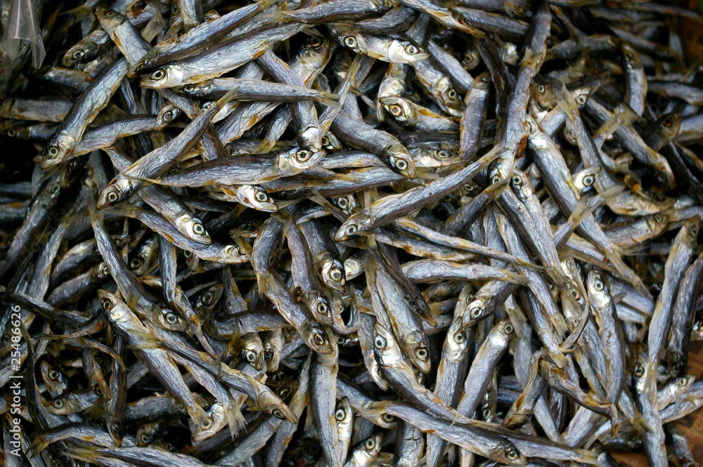 Salted fish in Cheung Chau Salted fish in Cheung Chau