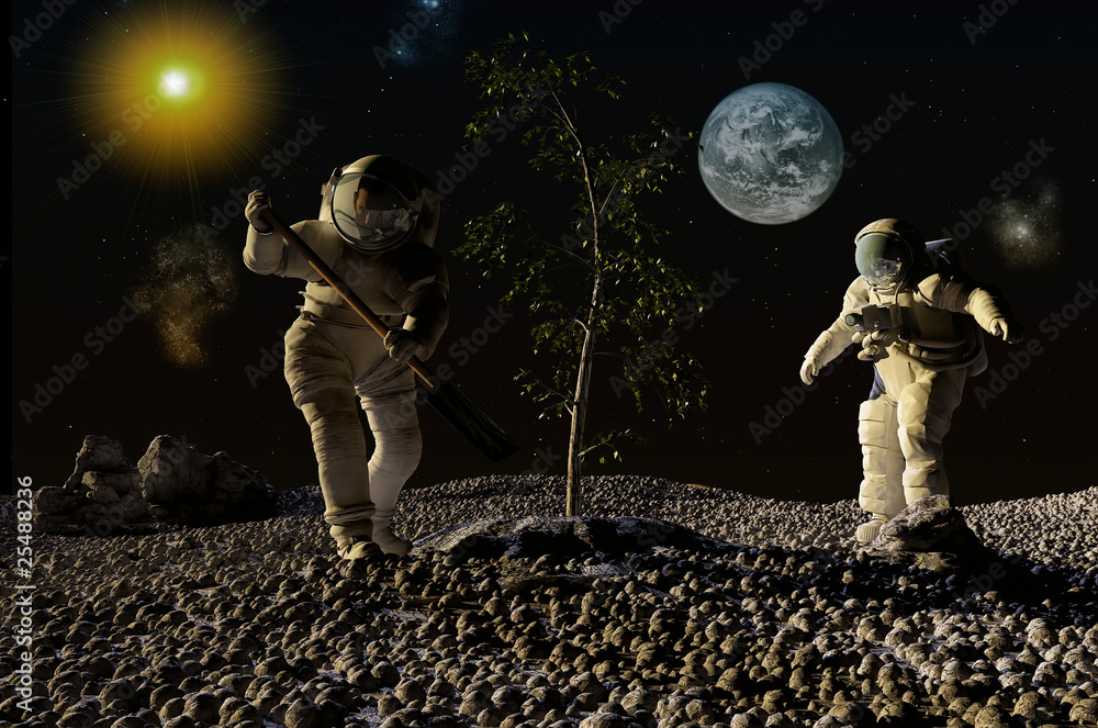 Obraz premium The astronauts