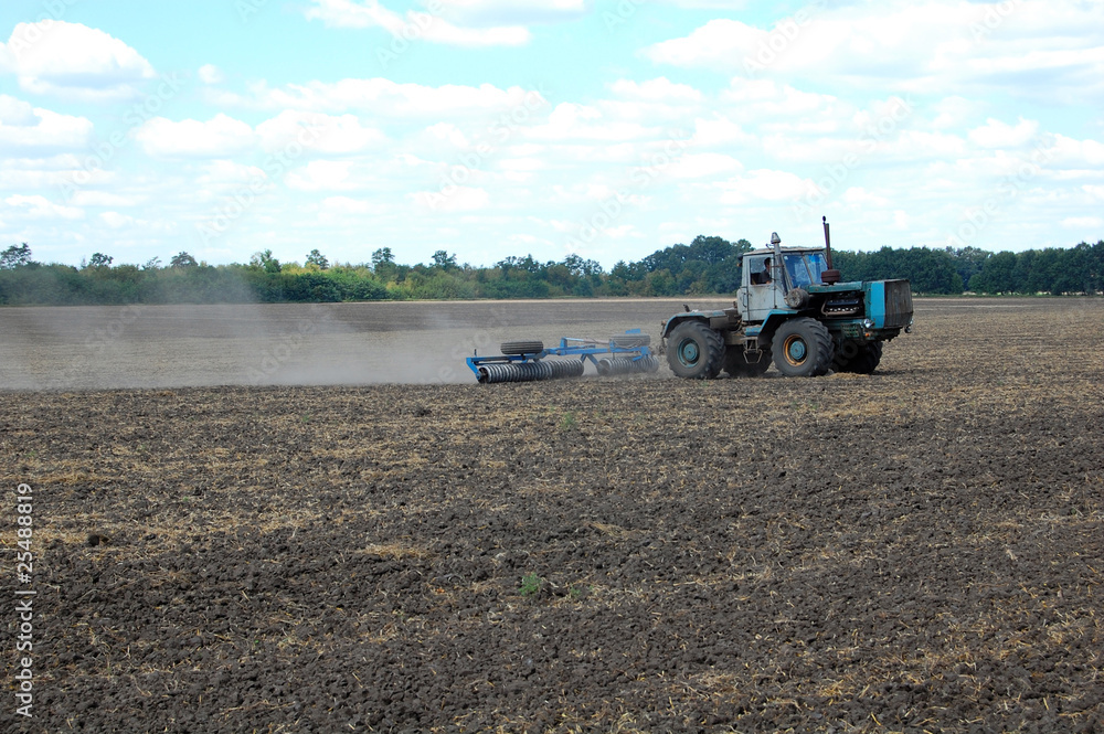 Obraz premium Rolling field