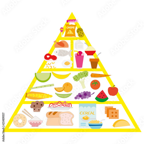 food pyramid, vector illustartion on the withe background