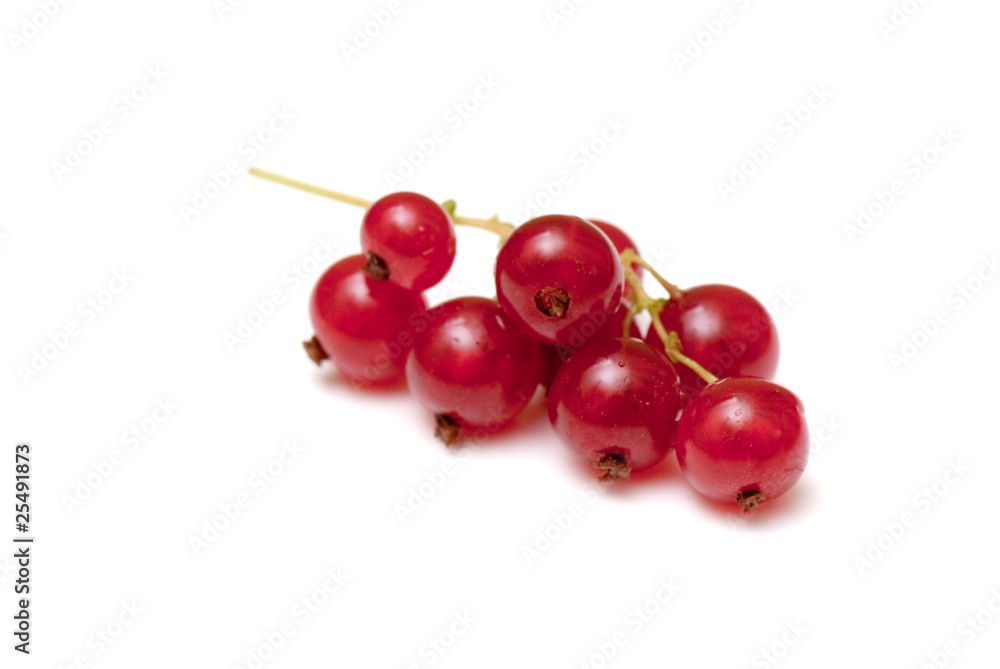 red currant