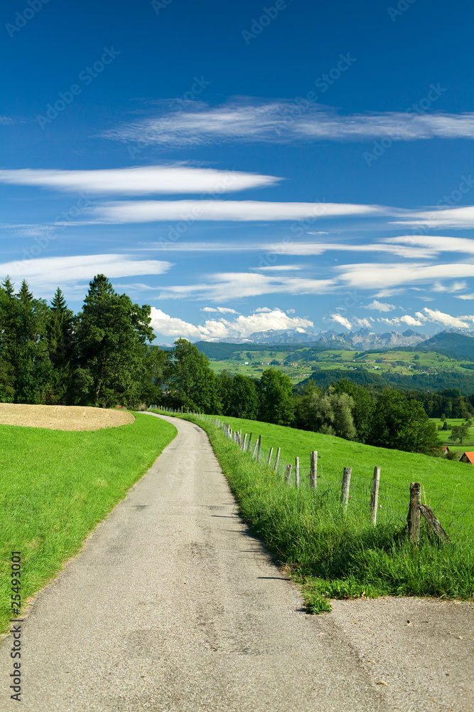 road, old fence along it, green fields and mountains