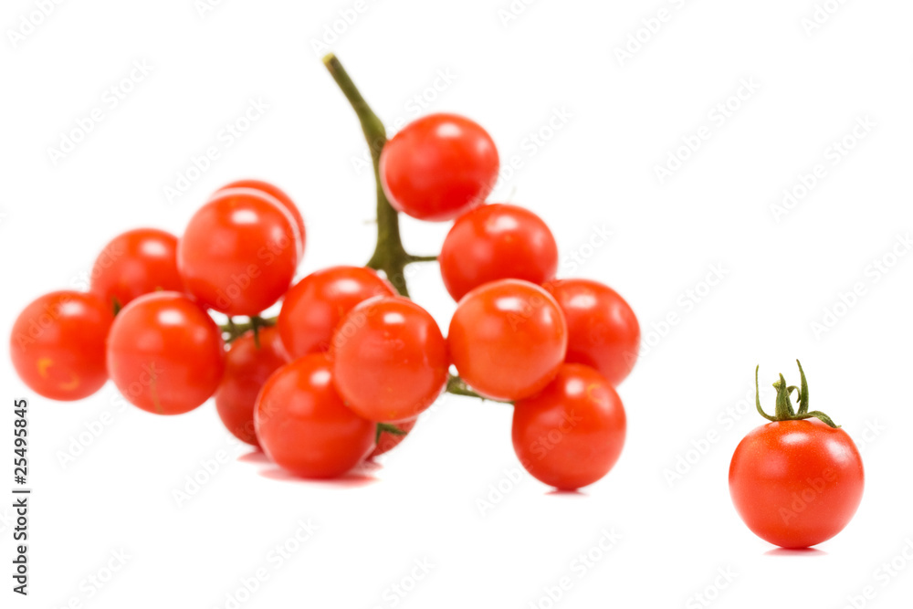 cherry tomatoes isolated on the white background cherry tomatoes isolated on the white background