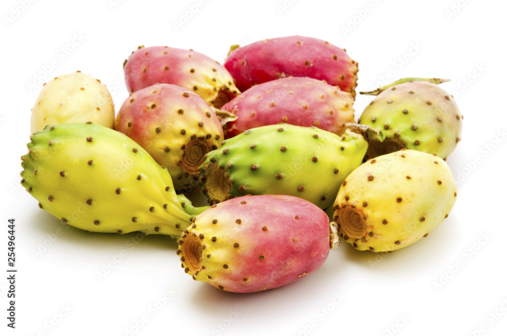Fruits of Opuntia ficus-indica