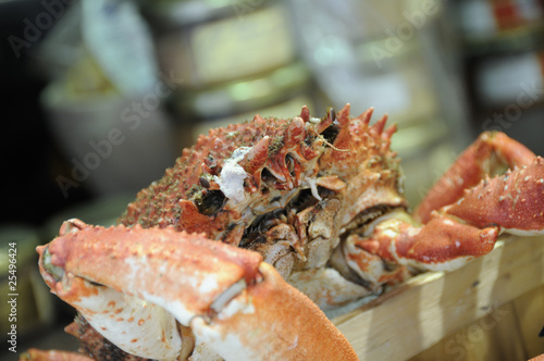 Shot of cooked crab at french fish market