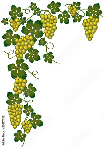 Esquina con uvas doradas