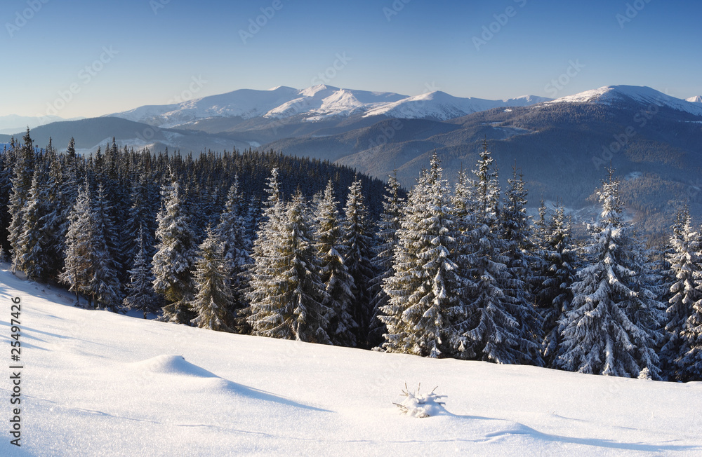 winter in mountains