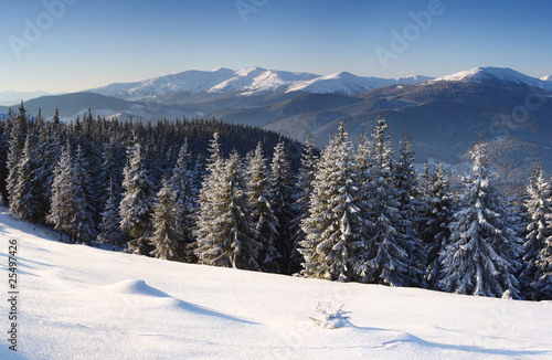 winter in mountains © Leonid Tit