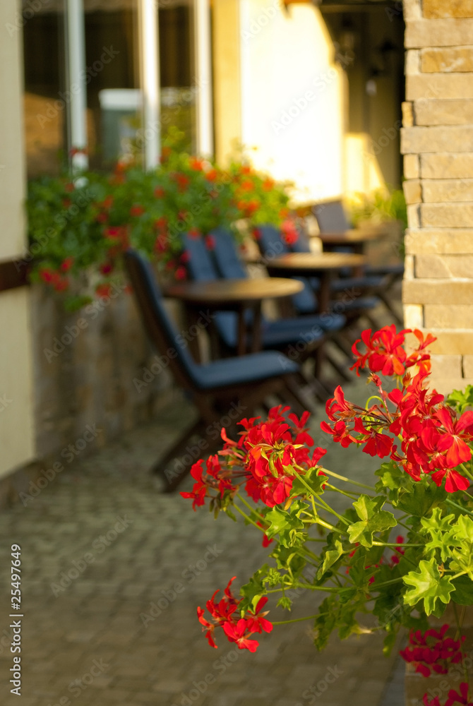 Red flowers and cofee tables