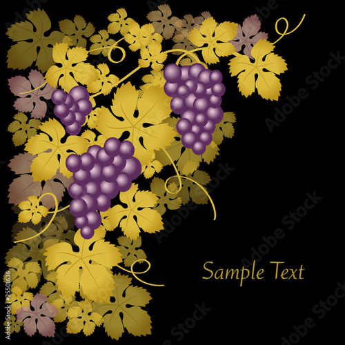 Carta de vinos cuadrada