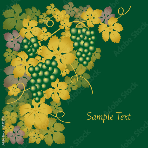 Carta de vinos cuadrada verde