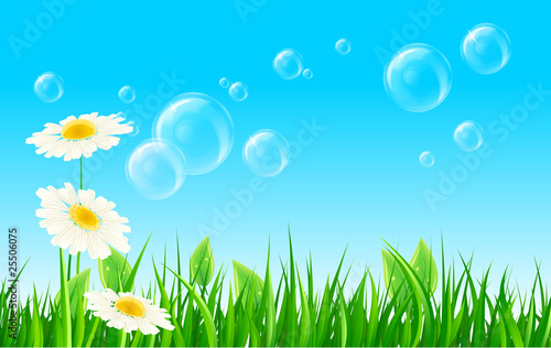 Green grass with soap bubbles