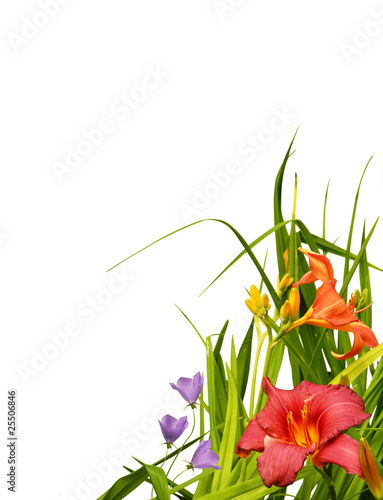 Fototapeta Naklejka Na Ścianę i Meble -  Floral border corner