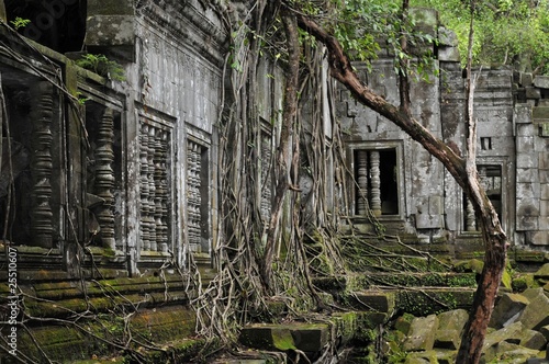 the secret jungle temple beng melea in cambodia photo