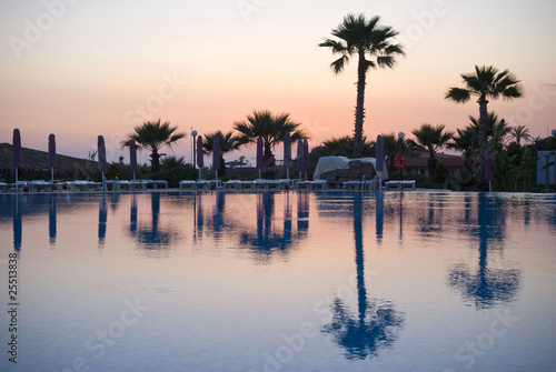 Palms near the swimming pool © Kot
