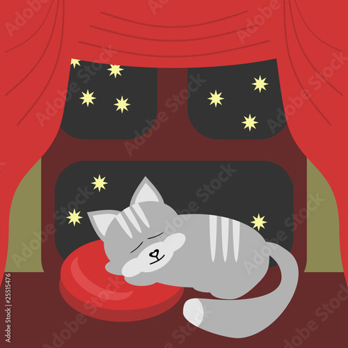 nice sleepeng cat on windowsill