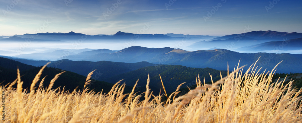 Fototapeta Żółte trawy na tle gór 