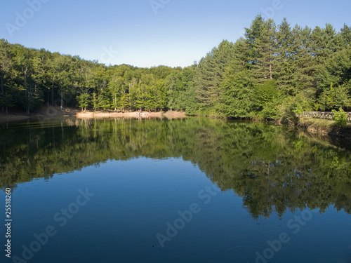 Gargano, Foresta Umbra