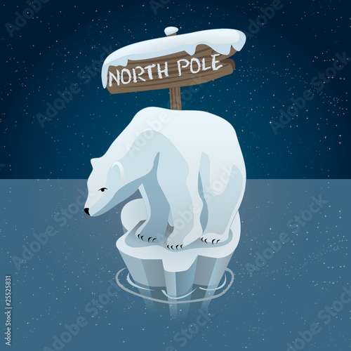 Polar bears in north pole