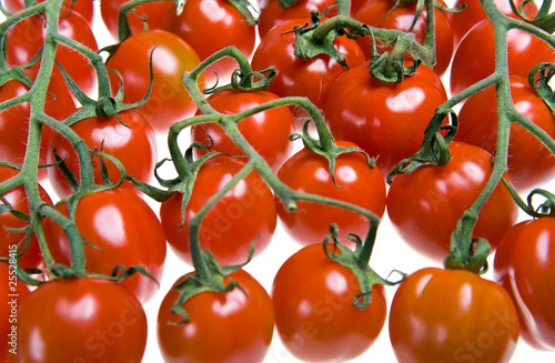 Obraz na plátne Tomatoes are put by numbers on branches