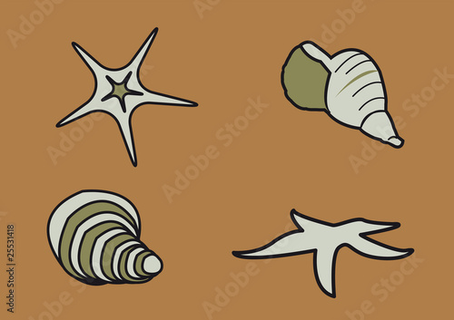 coquillage crustacé mer océan
