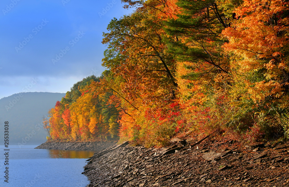 Fototapeta premium Allegheny national forest