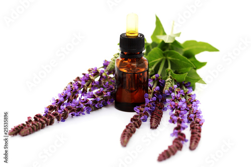 sage essential oil