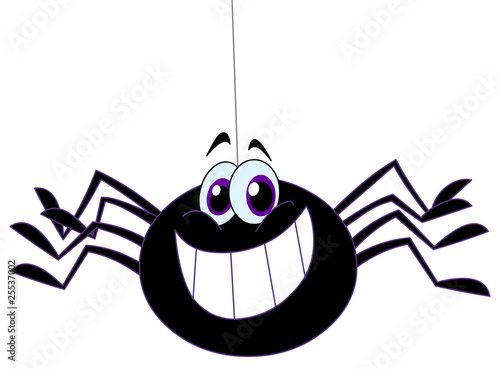 Spider