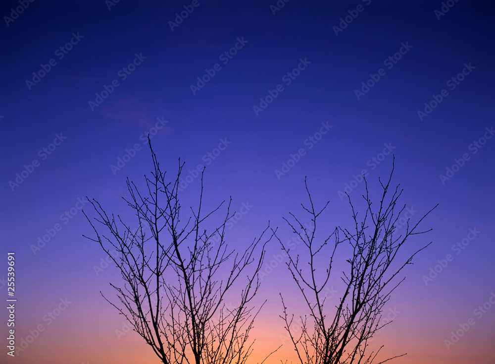 Obraz premium 夕空の階調