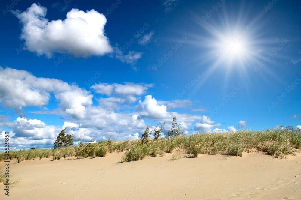 Fototapeta premium Sandy dunes