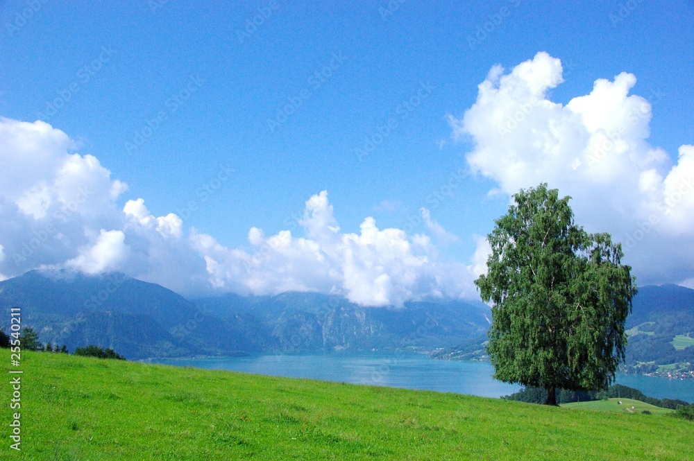 Obraz premium arbre Tyrol