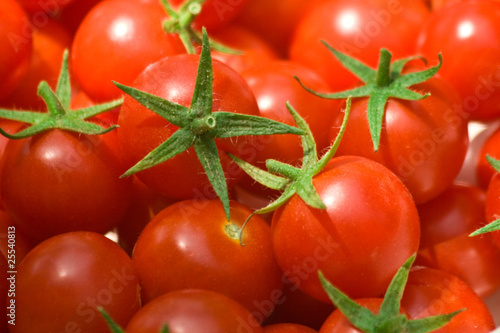 Freshly Picked Cherry Tomatoes photo