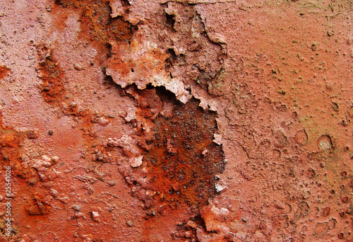 very rusty plate of red pink metal